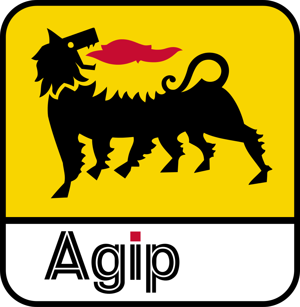 ACIPA Logo photo - 1