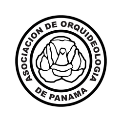 ASOCIACION DE ORQUIDEAS Logo photo - 1