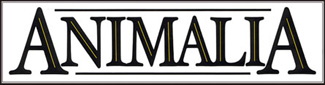 Animalia Logo photo - 1