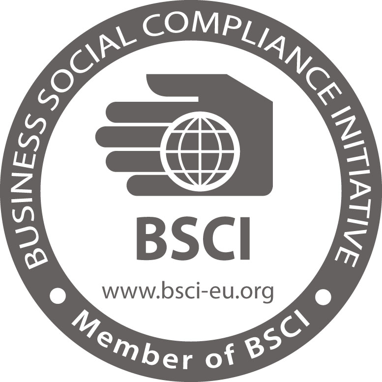 BSCI Logo photo - 1