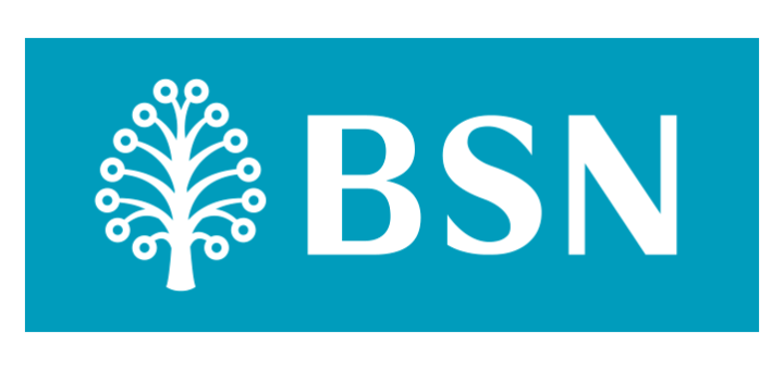 BSN 2015 Logo photo - 1