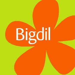 Bigdil Logo photo - 1