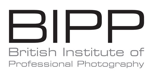 Bihapp Logo photo - 1