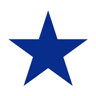 Blue Star Logo photo - 1