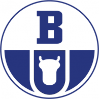 Boryszew Group Logo photo - 1
