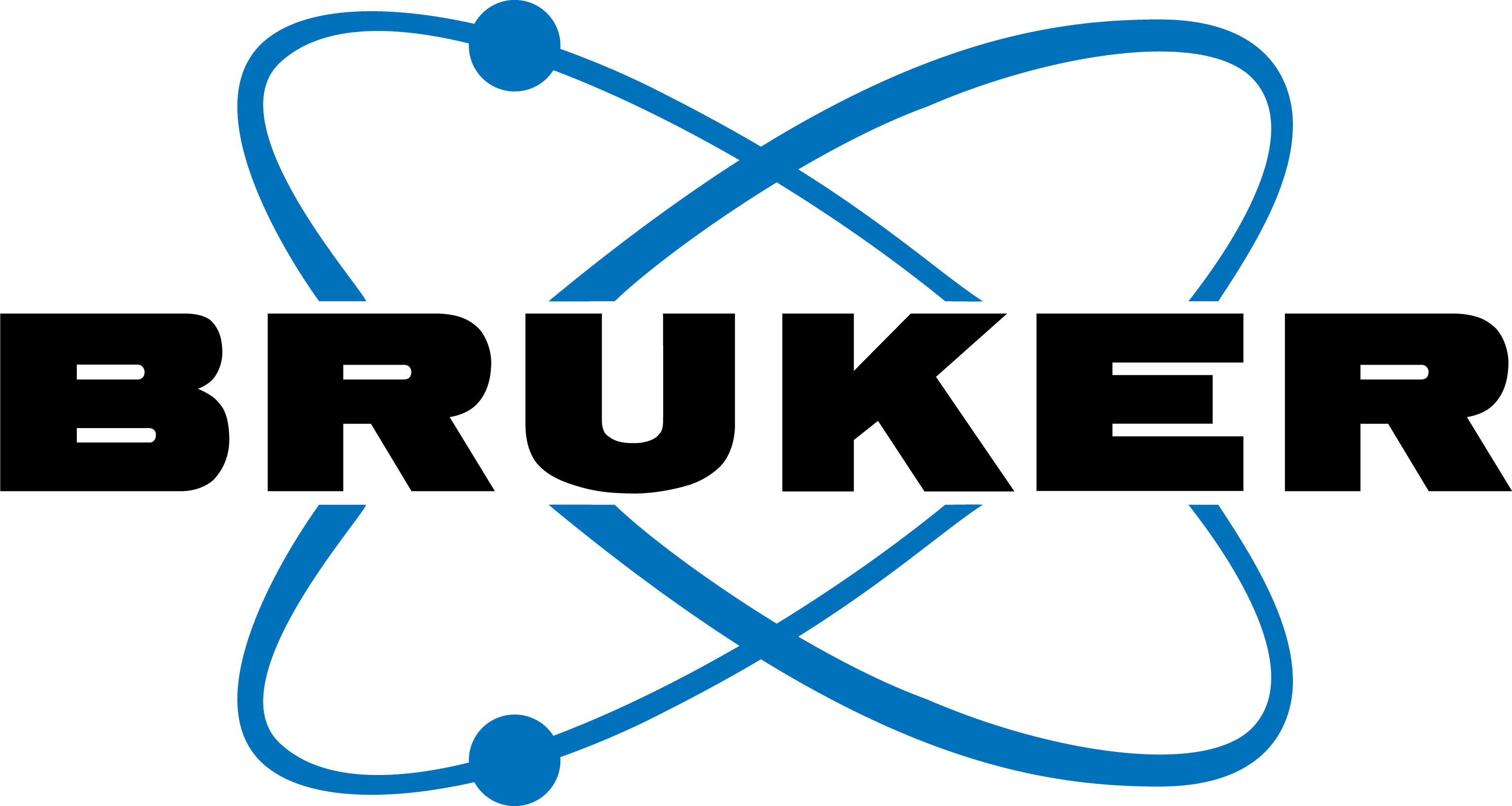 Bruker Logo photo - 1