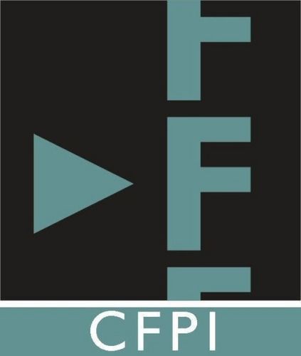CFIE Logo photo - 1