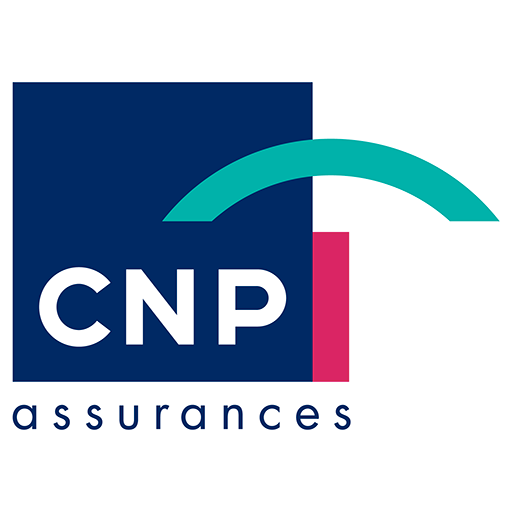 CNP Solutions Logo photo - 1