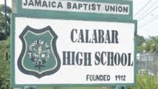Calabat High School Logo photo - 1
