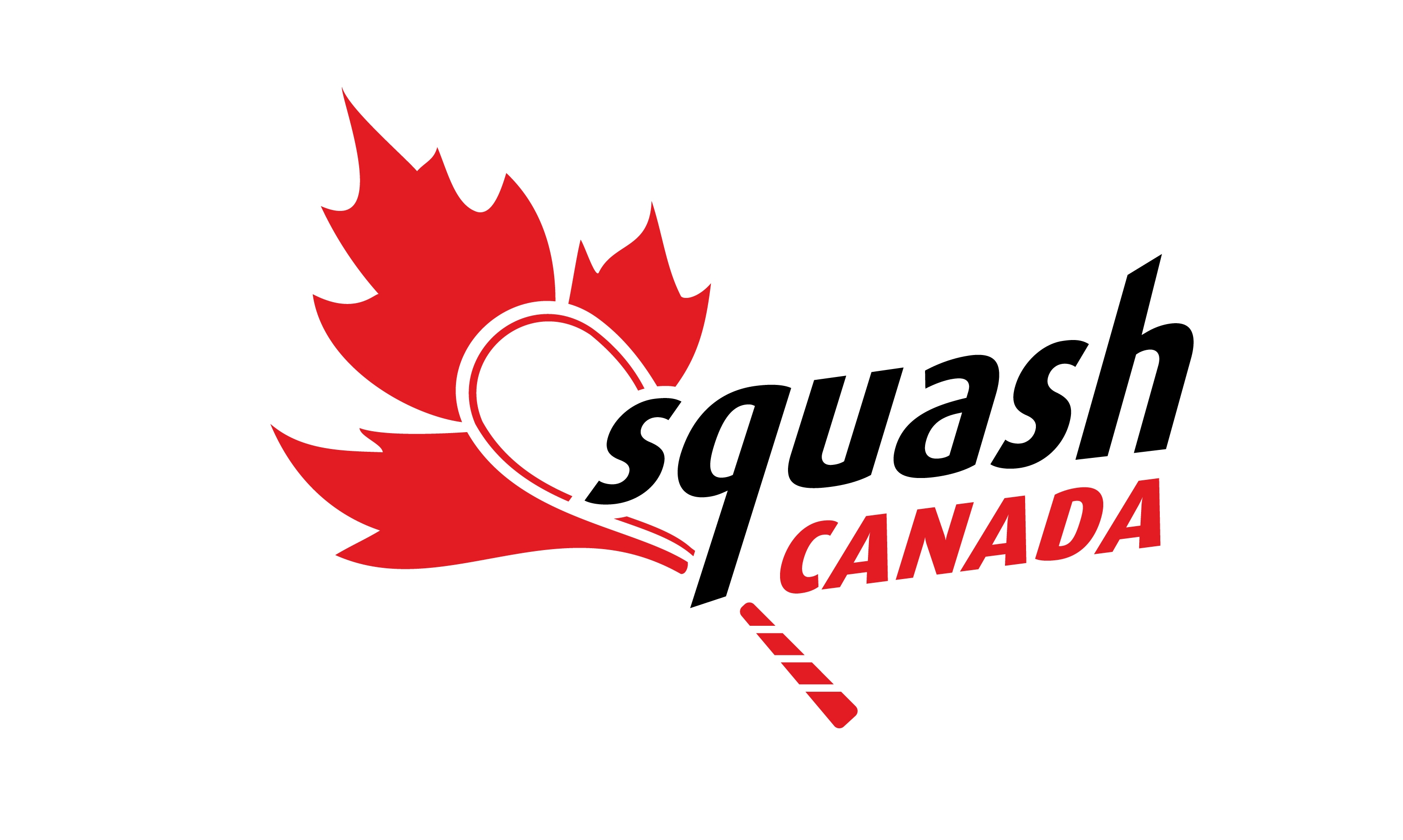 Canada 3000 Logo photo - 1
