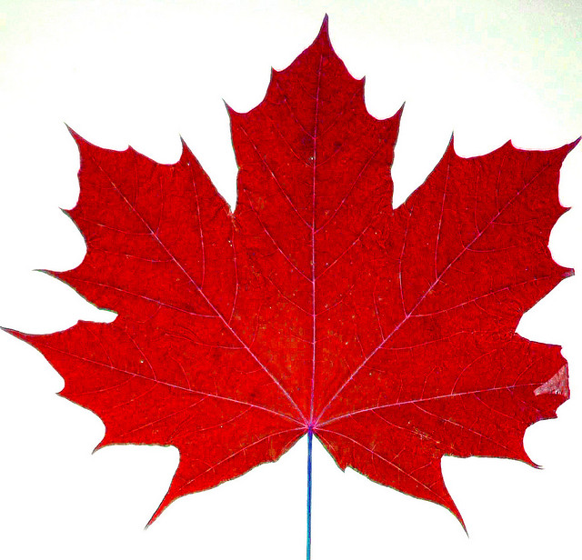 Canadian National Logo photo - 1