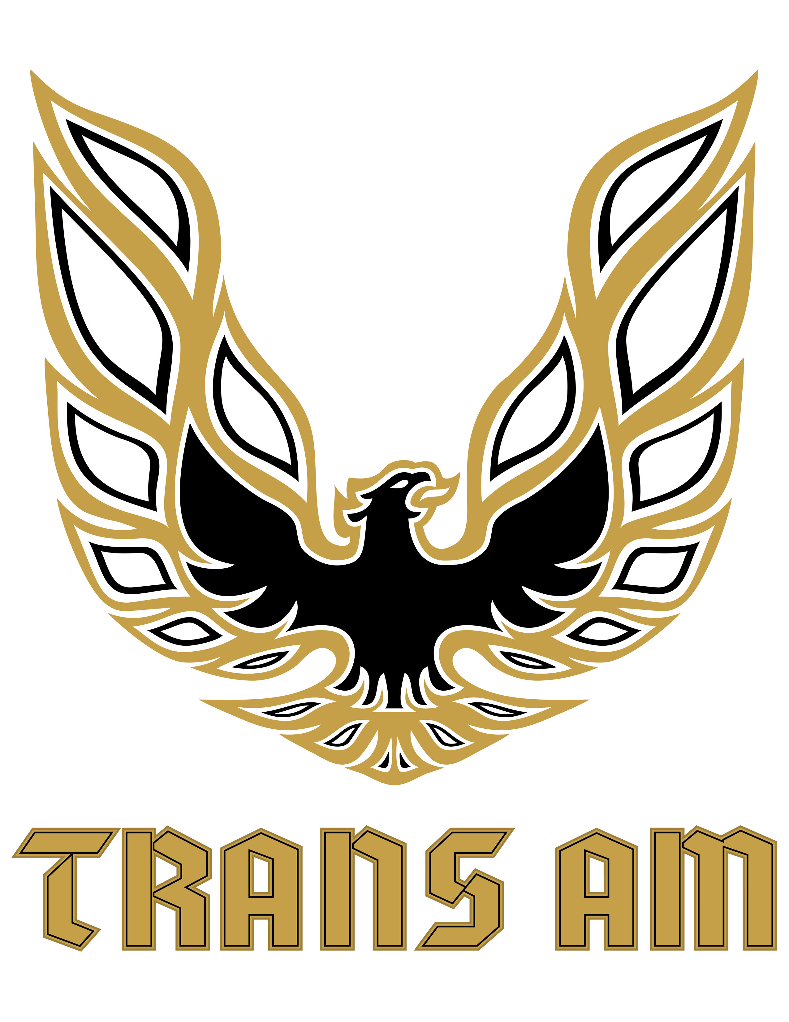 Cargo Trans Logo photo - 1