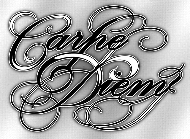 Carpet Diem Logo photo - 1