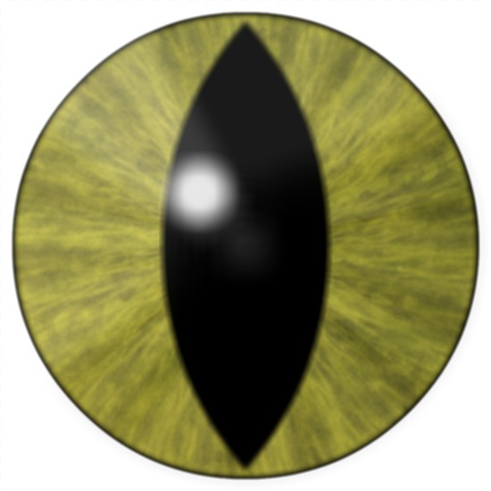 Cat Eye Logo photo - 1