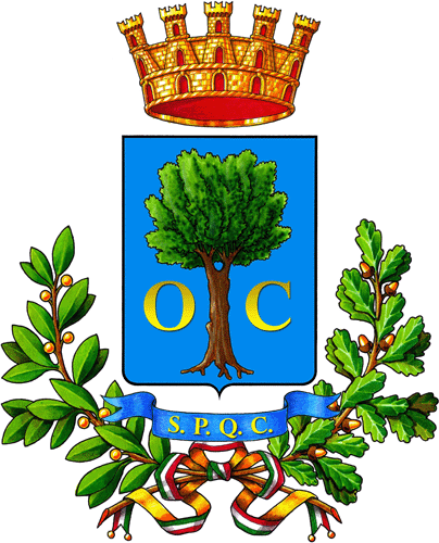 Comune di Treviso Logo photo - 1