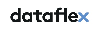 DataFlex Logo photo - 1