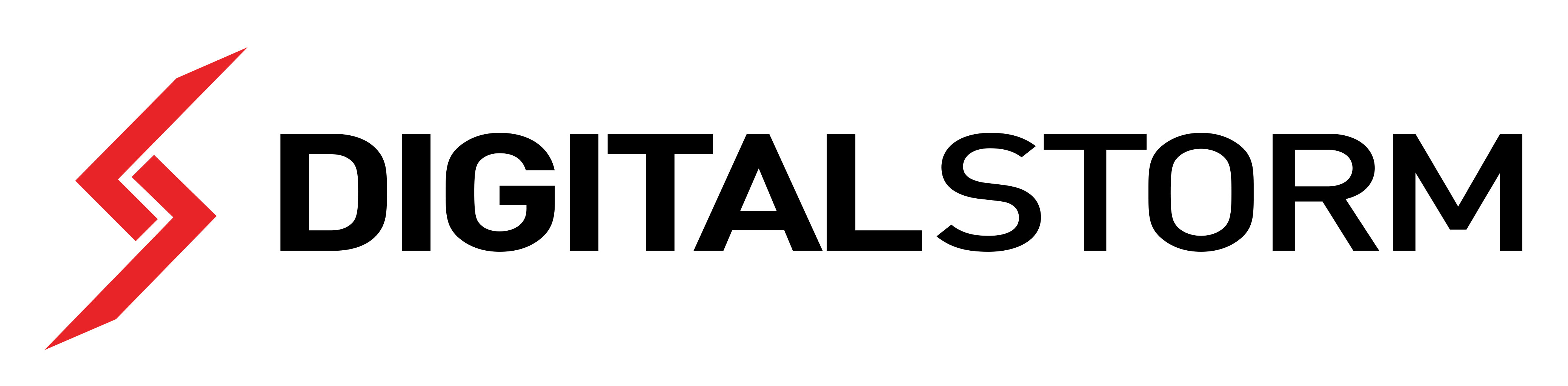 Digital Storm Online Logo photo - 1