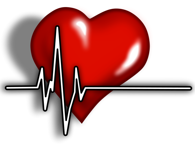 Ecg Heart Logo Template photo - 1