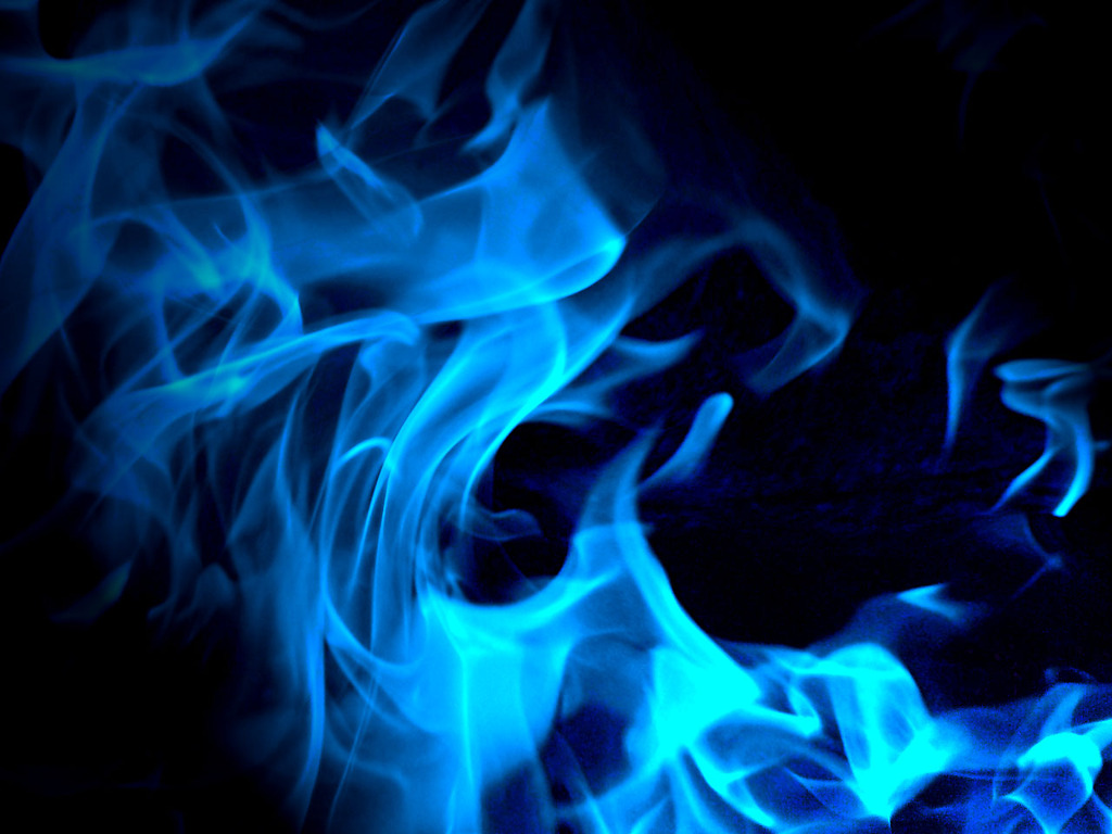 Element by Fuego Logo photo - 1