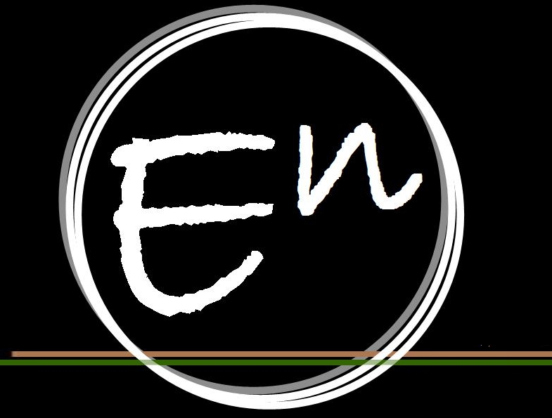 Engenio Logo photo - 1