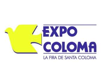 Expocoloma Logo photo - 1