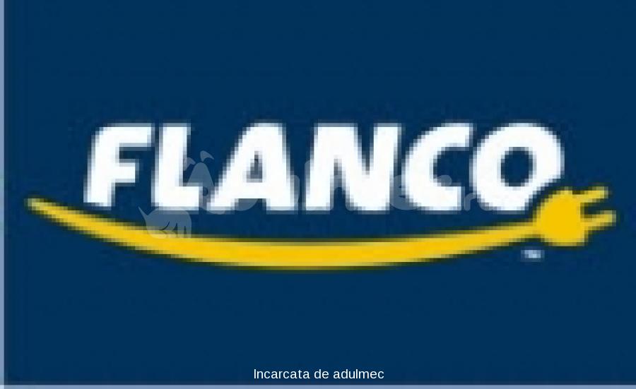 Flanco Logo photo - 1