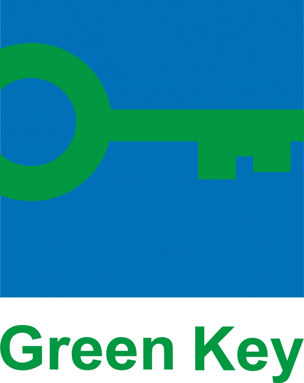 Green Wifi Logo photo - 1