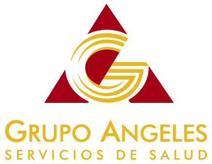 Grupo BSV Logo photo - 1