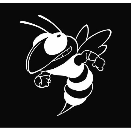Hornet Logo photo - 1