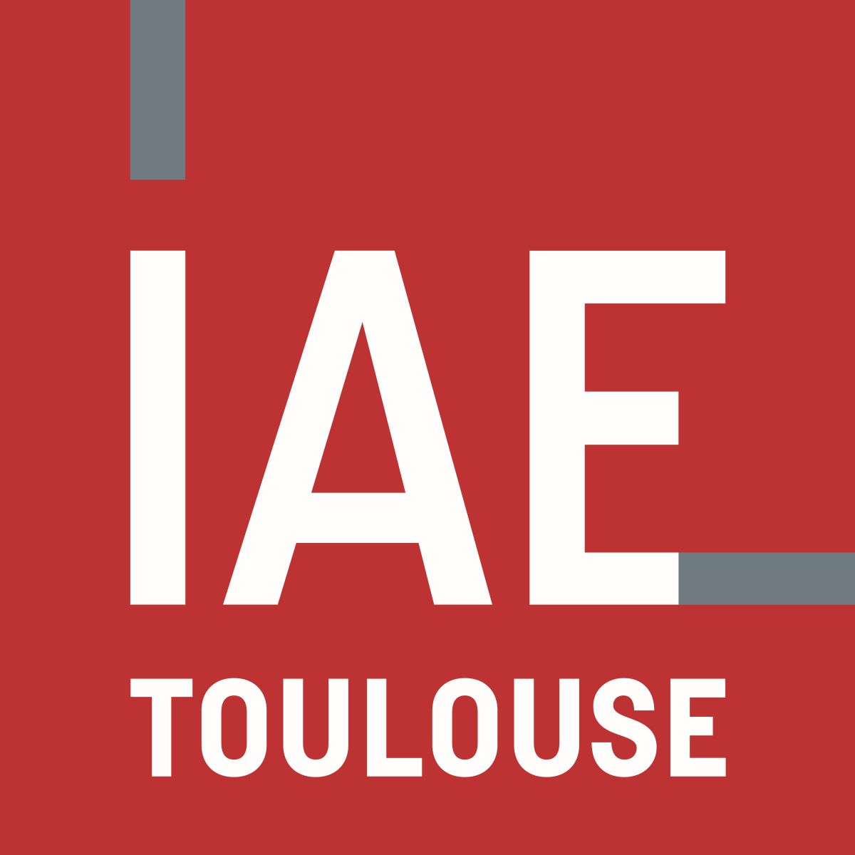 IAE Logo photo - 1
