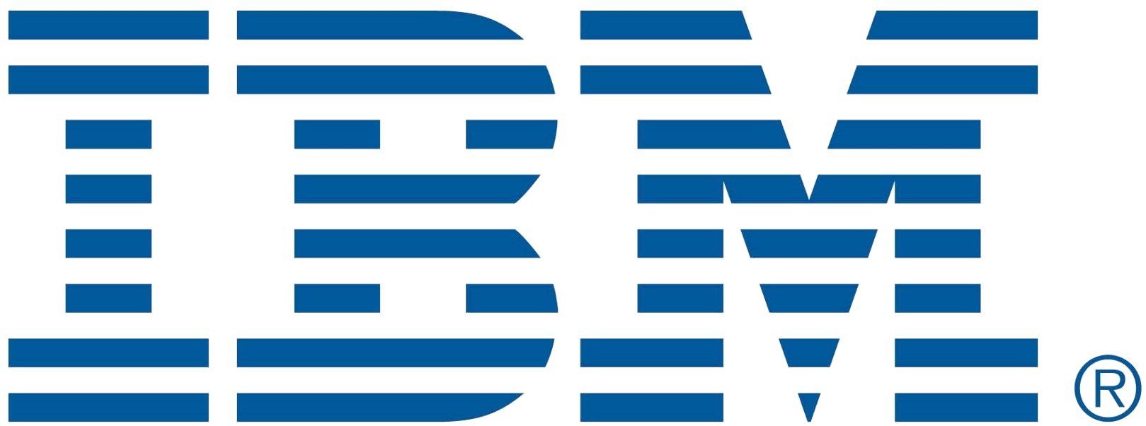 IBM business partner Logo photo - 1