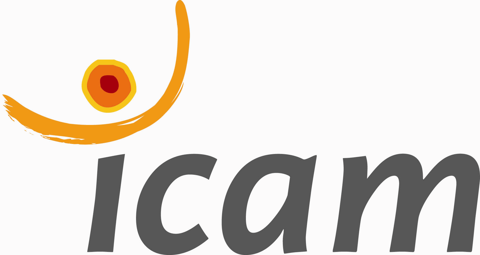ICAM Logo photo - 1