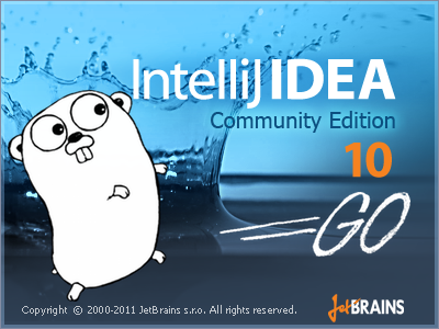 IntelliJ IDEA Logo photo - 1