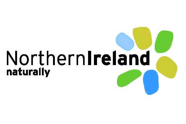 Invest Northern Ireland Logo photo - 1