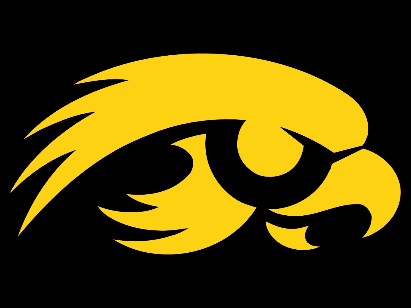 Iowa Hawkeyes Logo photo - 1