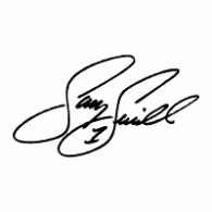 Jeff Gordon Signature Logo photo - 1