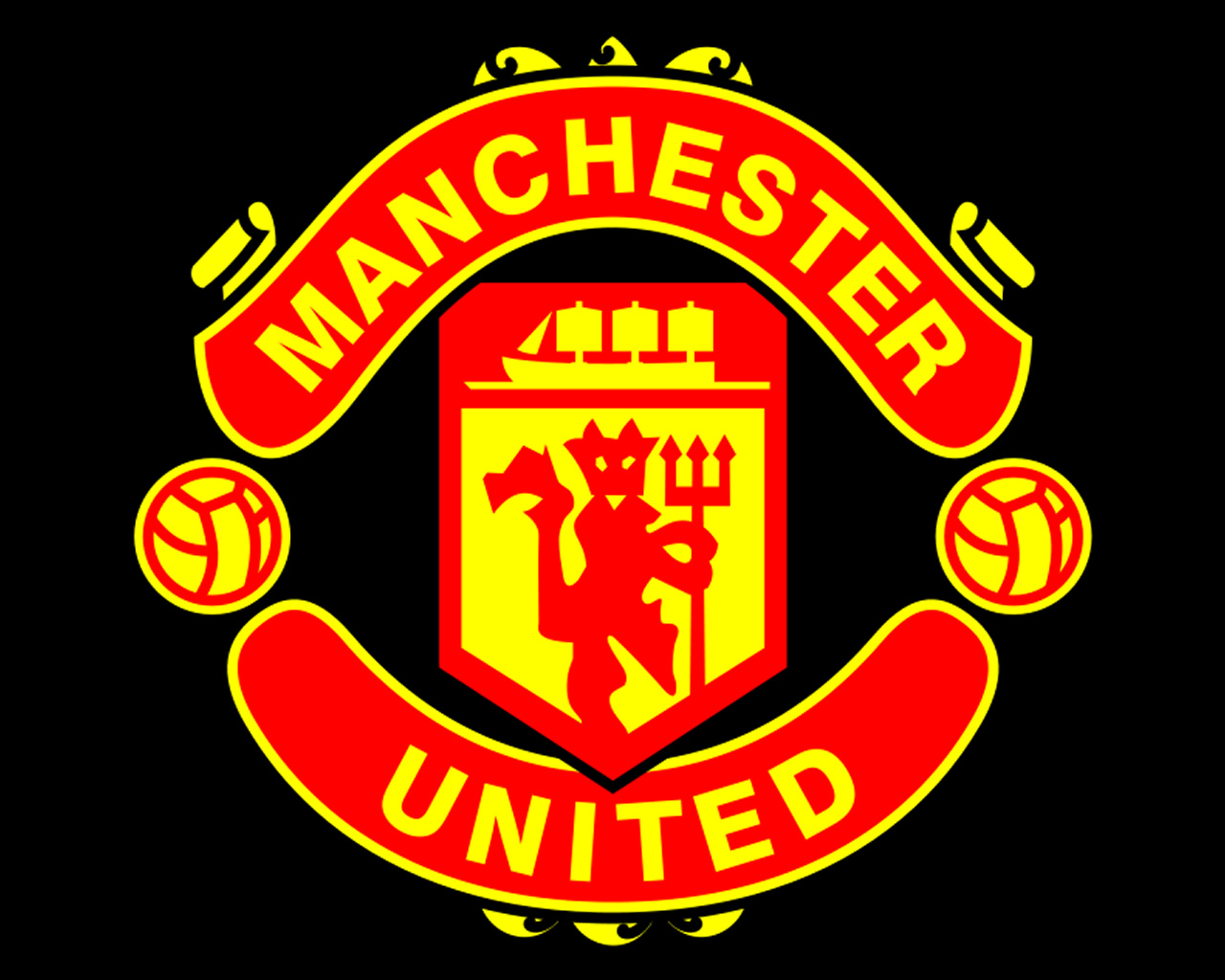 Manchester United Logo photo - 1