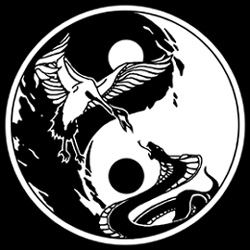 Martial Art of Indonesia Logo photo - 1