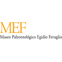 Museo Emilio Feruglio Logo photo - 1