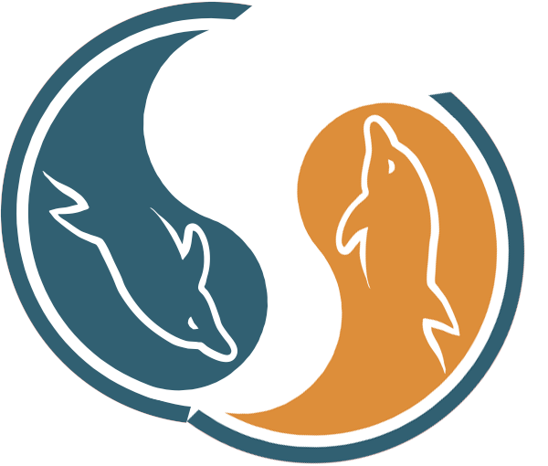 MySQL Logo photo - 1