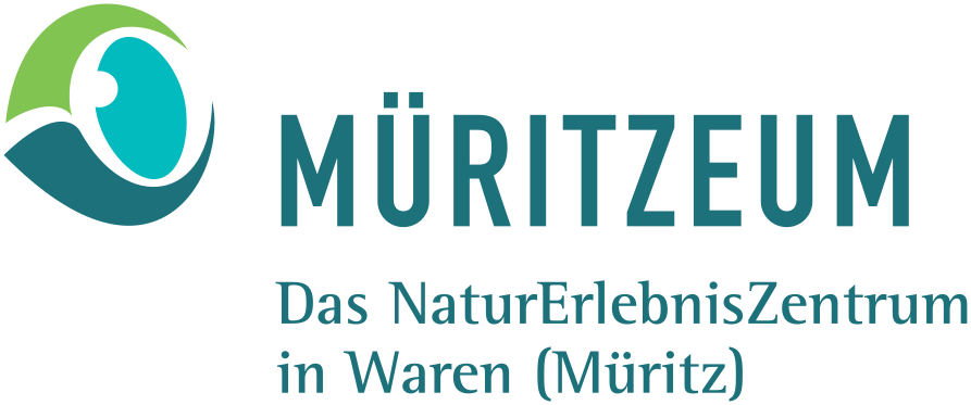 Müritzeum Logo photo - 1