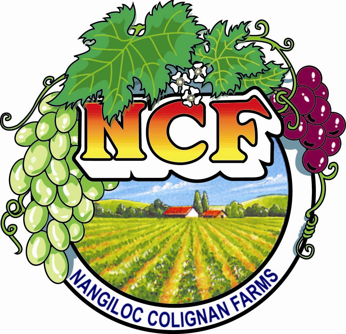 NCF Logo photo - 1