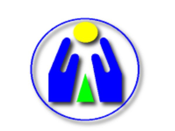 NSO Logo photo - 1
