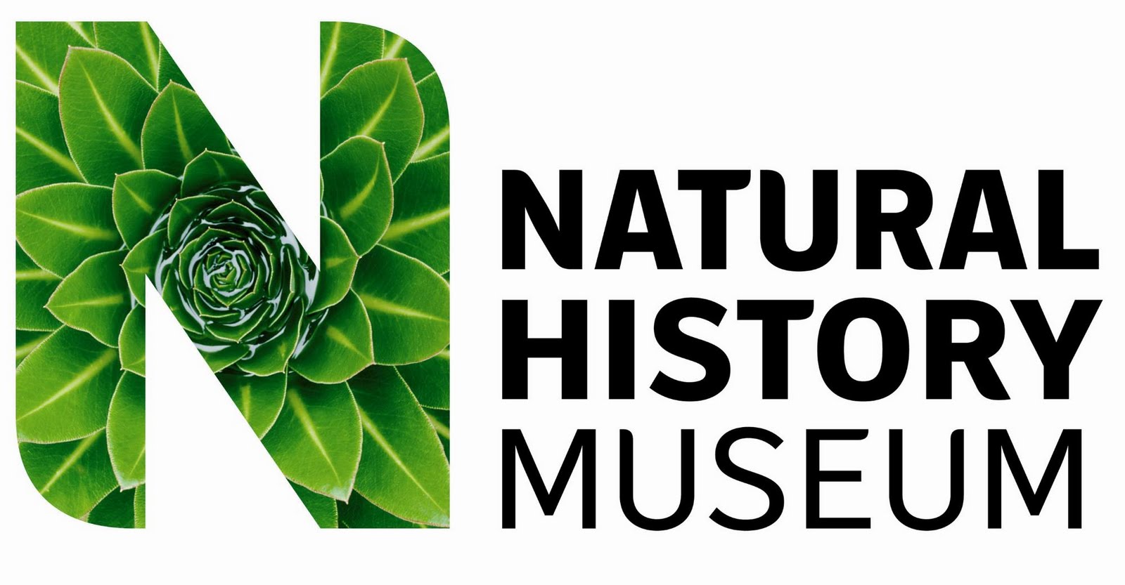 Natural History Museum Logo photo - 1