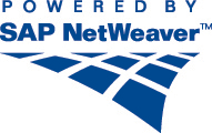 NetWeaver Logo photo - 1