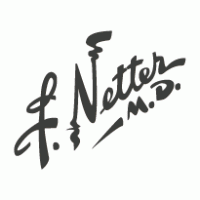 Netter M.D. Logo photo - 1