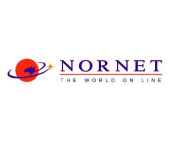 Nornet Internet Services Logo photo - 1