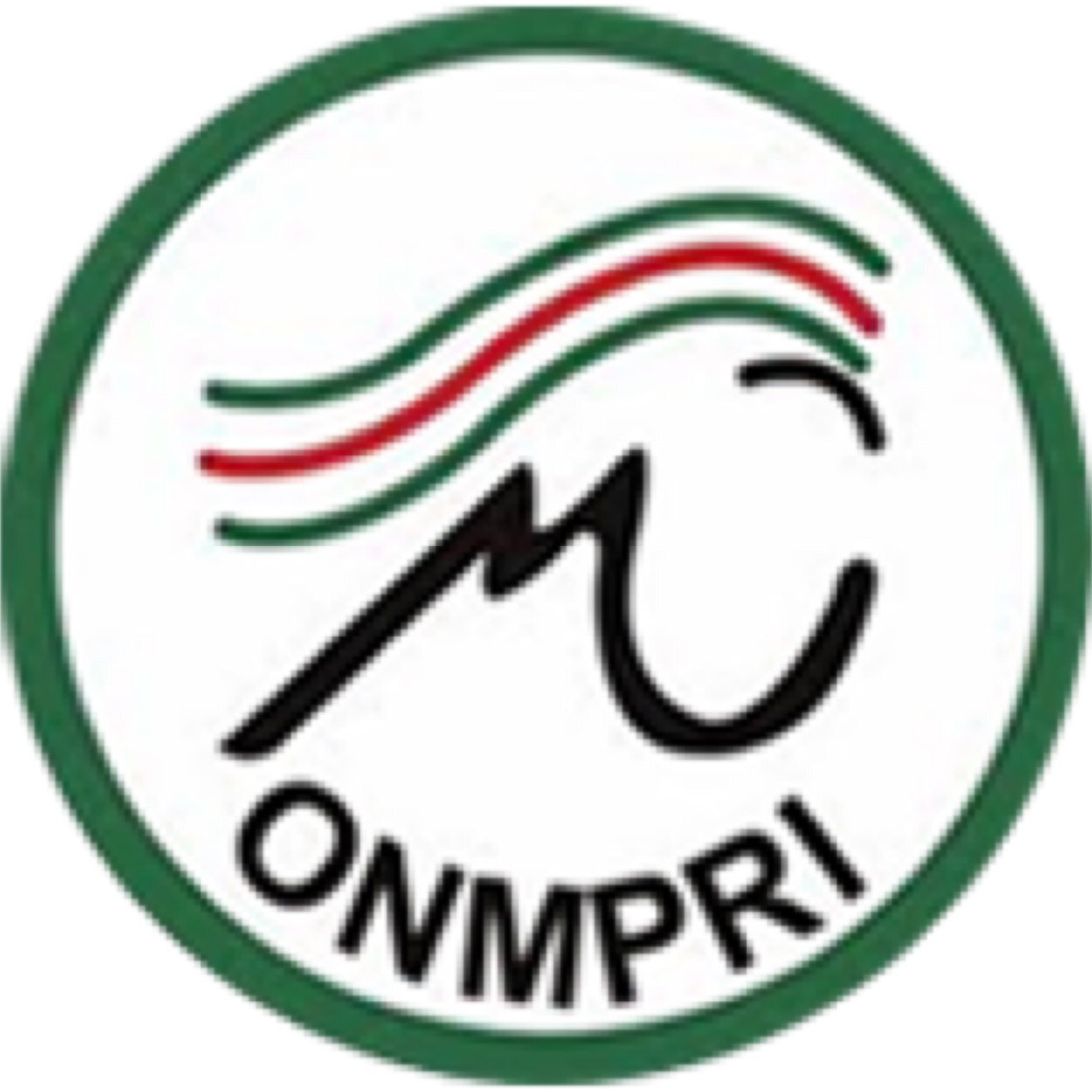 ONMPRI Logo photo - 1