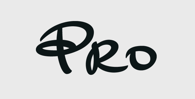 PRO Logo photo - 1
