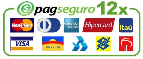 PagSeguro Logo photo - 1